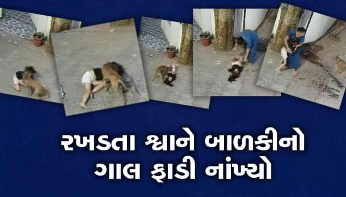હિંમત હોય તો જોજો આ Video, રખડતા શ્વાનનો બાળકી પર હુમલો, તેના ગાલની એવી હાલત કરી કે