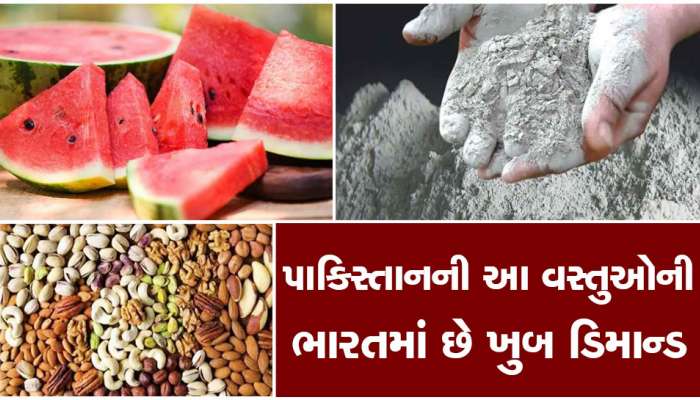Pakistan: પાકિસ્તાન પાસેથી ભારત ખરીદે છે 10 વસ્તુઓ, જેનો ઘર-ઘરમાં થાય છે ઉપયોગ