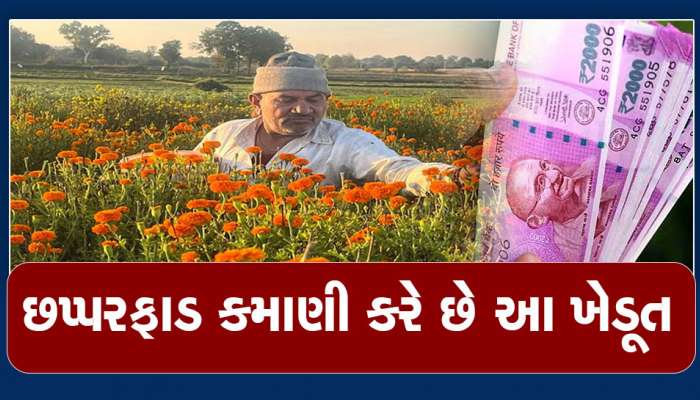 Inspirational Story: એક નિર્ણયે જિંદગી બદલી, આ ખેડૂત દર મહિને કરે છે અધધધ...કમાણી, જાણીને આંખો પહોળી થઈ જશે