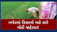 PM Kisan યોજનામાં હવે મળશે 8000 રૂપિયા! Budget 2023 માં કિસાનો માટે થશે મોટી જાહેરાત