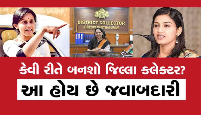 IAS collector salary: મહિને કેટલો હોય છે તમારા જિલ્લાના કલેક્ટરનો પગાર, આ મળે છે એમને સુવિધાઓ 