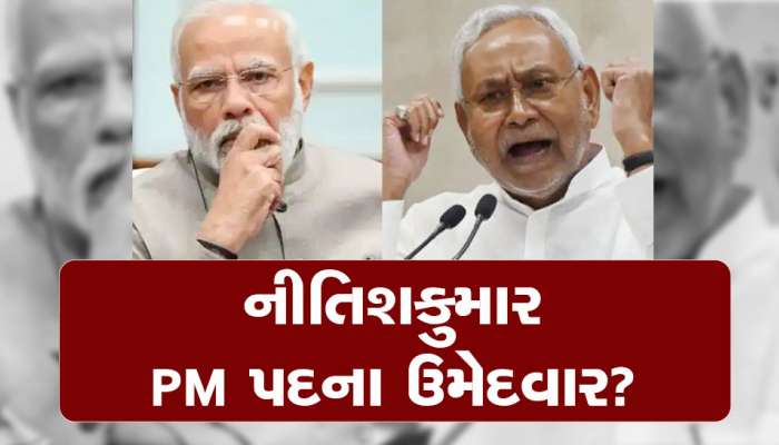 આગામી લોકસભા ચૂંટણીમાં નીતિશકુમાર હશે PM પદના ઉમેદવાર? આ દિગ્ગજ નેતાનું મોટું નિવેદન