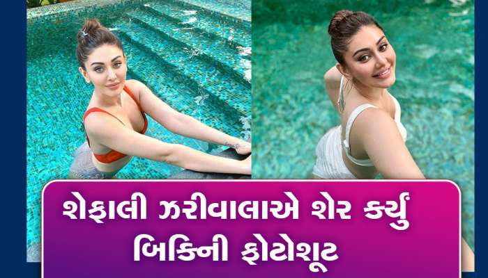 'કાંટા લગા' ગર્લ Shefali Jariwalaએ બિકીનીમાં લોકોના હોશ ઉડાવ્યા, ચાહકોએ કહ્યું- આગ લગાવી