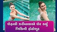'કાંટા લગા' ગર્લ Shefali એ બિકીનીમાં લોકોના હોશ ઉડાવ્યા, ચાહકોએ કહ્યું- આગ લગાવી