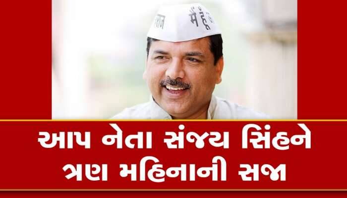 AAP સાંસદ સંજય સિંહને 3 મહિનાની સજા, કોર્ટે 21 વર્ષ જૂના કેસમાં આપ્યો ચુકાદો