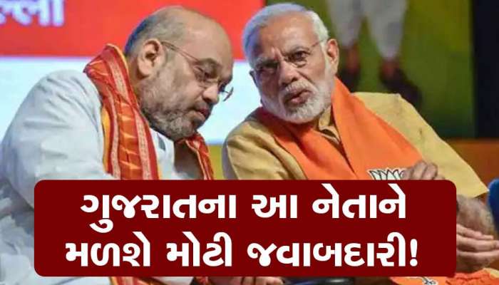 BJP માં ધરખમ ફેરફારની તૈયારી; સરકારનું પણ બદલાશે સ્વરૂપ, ગુજરાતના આ નેતાનું વધશે કદ!