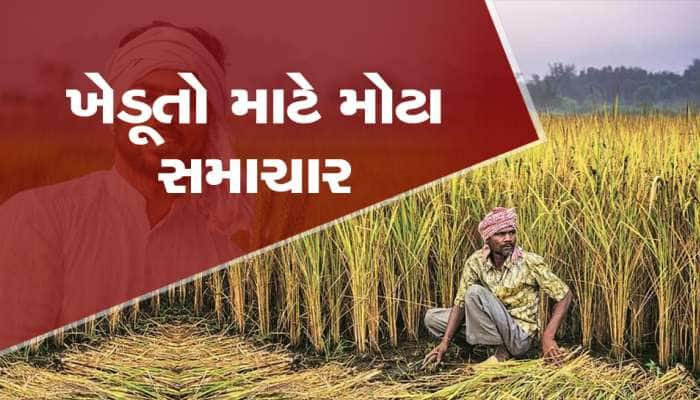 ટેકાના ભાવની ખરીદીને લઈ ગુજરાતના ખેડૂતો માટે હિતકારી નિર્ણય, કૃષિમંત્રીએ કરી જાહેરાત