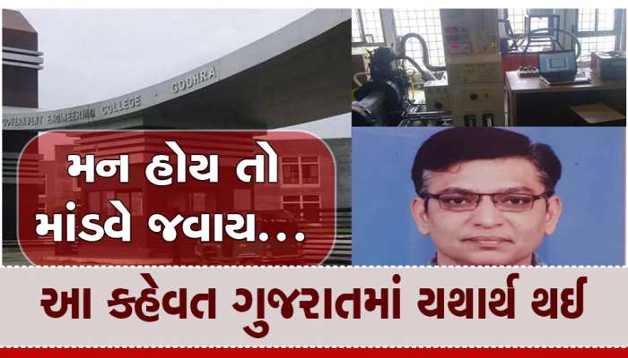 ગુજરાતમાં અનોખું સંશોધન! નીલગીરીના પાંદડામાંથી ગોધરાના પ્રોફેસરે બનાવ્યું બાયો ડીઝલ