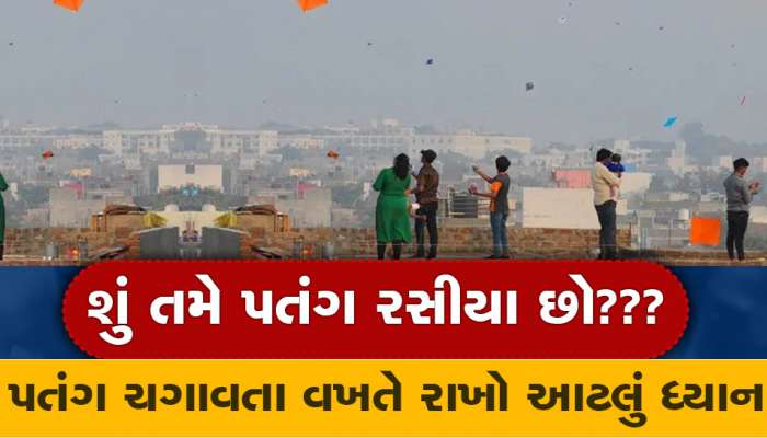 પતંગબાજો માટે કામની છે આ વાતો, ઉત્તરાયણમાં પેચ લડાવવાની પડી જશે મજા