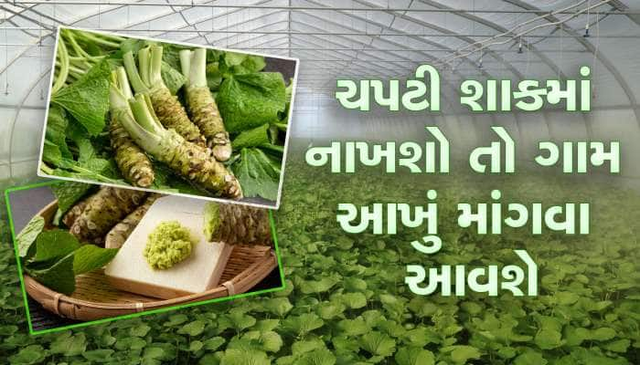 ખેતી કરીને કરોડપતિ બનવાનો આ છે કારગર ઉપાય, સ્વાદ અને સુગંધની દુનિયા છે દિવાની