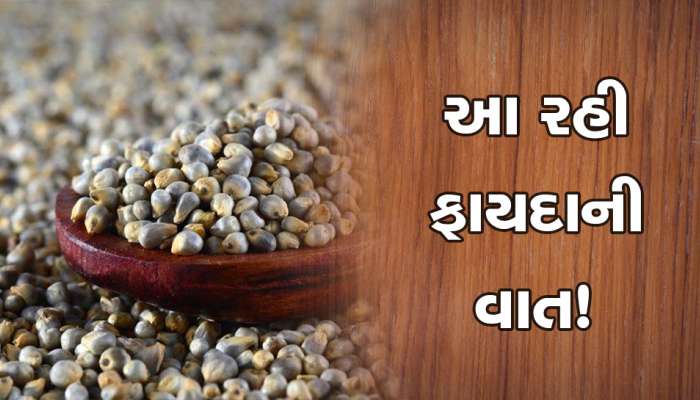 આ વાત જાણીને તમે પણ બાજરી ખાવાનું શરૂ કરી દેશો, એટલા ગુણો છે કે તમે રોટલીને કહેશો ના