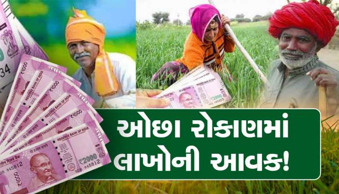 ઉજ્જડ જમીનમાં ખેતી કરીને મેળવો લાખોની કમાણી, 3000 રૂપિયાનો ખર્ચો અને લાખોમાં આવક!