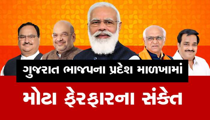 ડઝનબંધ પદ રાખી રૂઆબ રાખતા નેતાઓની પાંખો કાપી લેવાશે, ગુજરાતમાં ભાજપમાં નવાજૂની થશે
