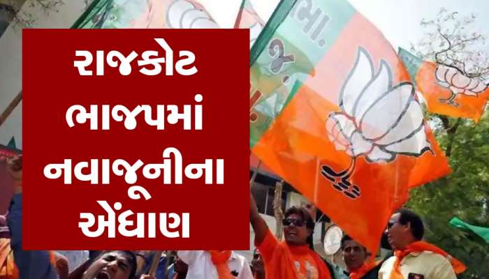 મોટુ મન! રાજકોટમાં નેતાઓએ ફરિયાદો ના કરી, રિઝલ્ટે ઘણા નેતાઓને ઔકાત દેખાડી 