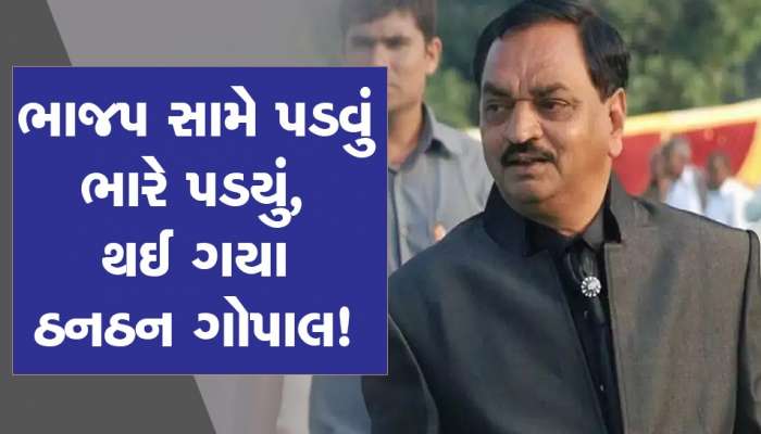 બરોડા ડેરીના પ્રમુખ પદેથી દિનેશ પટેલે આપ્યું રાજીનામું, ભાજપની સામે પડીને લડ્યા હતા ચૂંટણી