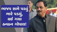 બરોડા ડેરીના પ્રમુખ પદેથી દિનેશ પટેલે આપ્યું રાજીનામું, પાદરાથી લડ્યા હતા ચૂંટણી