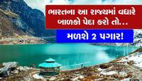 બાળકો પેદા કરો અને  2 પગાર, 3 લાખ રૂપિયાની ભેટ લો, ભારતમાં આ રાજ્યે જાહેર કર્યા ઈનામ