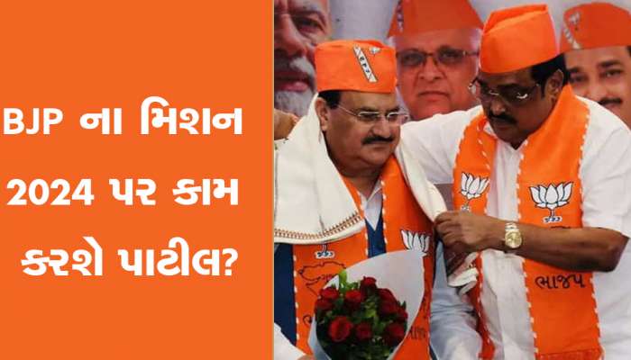 BJP National Executive Meet : આખા દેશમાં વાગશે ગુજરાતની જીતનો ડંકો, પાટીલની ફોર્મ્યુલા પર મેગા પ્લાન કરશે ભાજપ