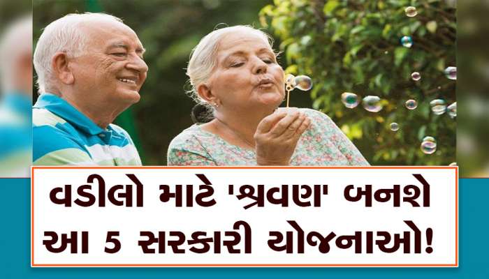 Senior Citizen માટે આ 5 સરકારી યોજનાઓ છે સૌથી ઉત્તમ, વૃદ્ધાવસ્થાનો સહારો બનશે આ સ્ક્રીમ