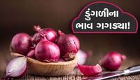 હોંશે હોંશે ડુંગળી વાવનારા ખેડૂતોને આજે રડવાનો વારો આવ્યો, ભાવ સાવ તળિયે ગયો