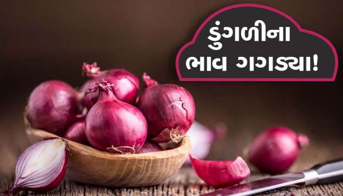 હોંશે હોંશે ડુંગળી વાવનારા ખેડૂતોને આજે રડવાનો વારો આવ્યો, ભાવ સાવ તળિયે ગયો