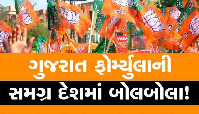 શું છત્તીસગઢમાં BJP અજમાવશે ગુજરાત ફોર્મ્યુલા, CM બઘેલે કહ્યું; રમણ સિંહની ટિકિટ...'