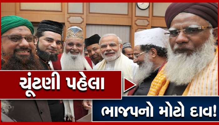 Lok Sabha Election 2024: ભાજપ બદલાશે કે વિસ્તરણ જરૂરી છે? મુસ્લિમોની વાત કરવા પાછળનો શું છે હેતુ?