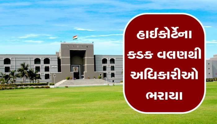 જાહેરમાં સરભરા! ખાનગી વકીલ રોકો અને કોર્ટમાં જવાબ આપો, હાઈકોર્ટેના કડક વલણથી અધિકારીઓ ભરાયા