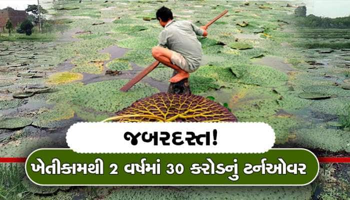 'સફેદ સોનું' છે આ પાક, દંપત્તિ 2 જ વર્ષમાં 30 કરોડના માલિક, 600 લોકોને આપી રોજગારી