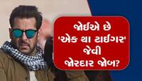 'એક થા ટાઈગર' જેવી જોરદાર જોબ! આ તારીખથી IB માં ઉંચા પગારે બમ્પર ભરતી