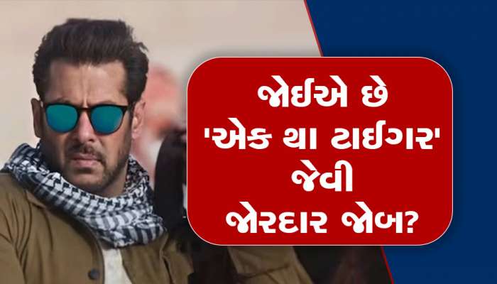 'એક થા ટાઈગર' જેવી જોરદાર જોબ! આ તારીખથી IB માં ઉંચા પગારે બમ્પર ભરતી