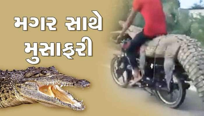 શખ્સ બન્યો ખતરો કા ખેલાડી, ખૂંખાર મગરને બાઈક પર બાંધીને મુસાફરી કરતો જોવા મળ્યો