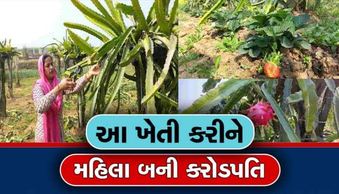 ઓછી મહેનતમાં કરોડપતિ બનવાની ટ્રીક આ મહિલા પાસેથી શીખો, એક ખેતી કરીને થઈ ગયા માલામાલ