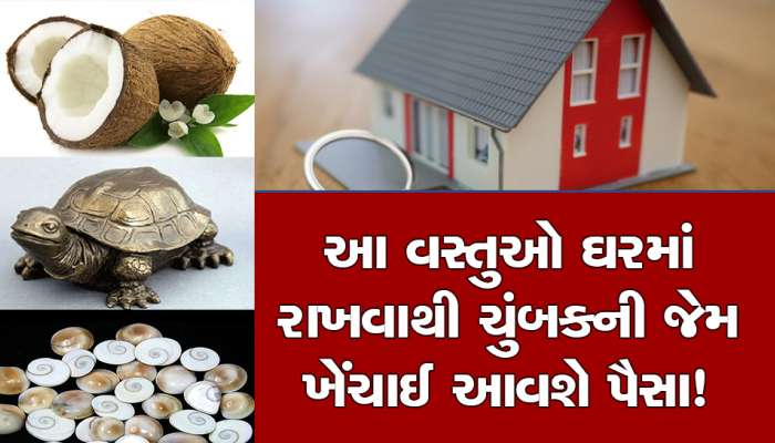 ઘરમાં આ 5 વસ્તુઓ રાખવાથી ચુંબકની જેમ ખેંચાઈને આવશે પૈસા, એકવાર કરી જુઓ ટ્રાય