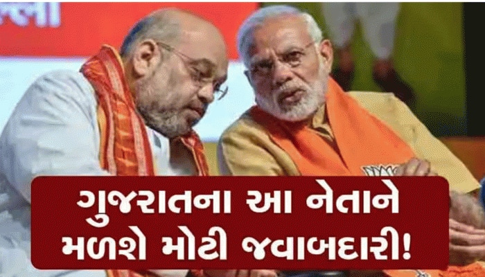 ભાજપ સંગઠનમાં મોટા પાયે ફેરફાર થશે : બદલાઈ શકે છે નડ્ડાની ટીમ, આ રાજ્યોને થશે ફાયદો