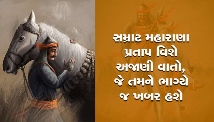 Maharana Pratap Interesting Facts: રાણો એટલે મહારાણા પ્રતાપ, અકબરના ઘમંડને કર્યો હતો ચકનાચુર