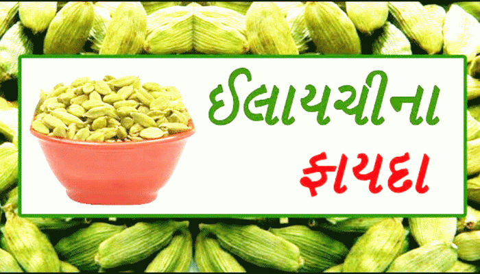 ઘણી સમસ્યાનો અસરકારક ઇલાજ છે ઈલાયચી! ફાયદા જાણીને તમે પણ કહેશો કે આ તો ગજબ છે