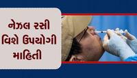 ઈન્ટ્રાનેઝલ વેક્સીન ક્યારે મળશે, ક્યાં મળશે અને કેટલી હશે કિંમત? તમામ માહિતી જાણો