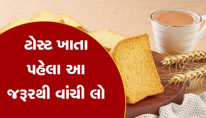 Rusk Making Process: ટોસ્ટ બનતા જોશો તો તમે પણ ખાવાનું કરી દેશો બંધ, આ રીતે બને છે ટોસ્ટ