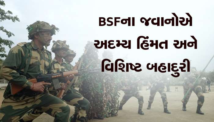 Gallantry Medals: LOC પર BSFના જવાનોએ કર્યા 3 પાકિસ્તાની આતંકવાદીઓને ઠાર, રોમાંચક છે તેમની કહાની