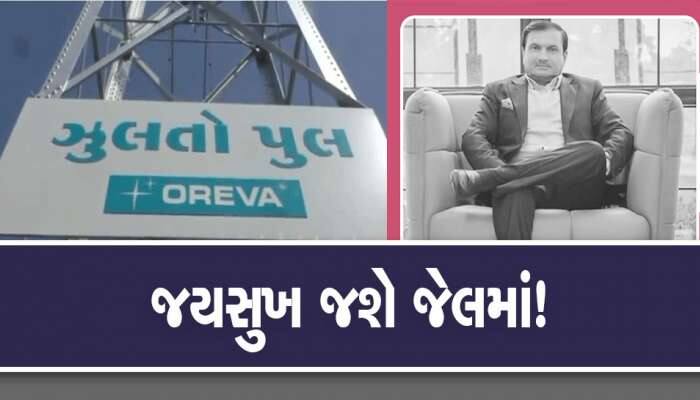 ઝૂલતા પુલમાં લોકોના જીવ ગયા! આખરે ભાગેડુ બનેલો મુખ્ય આરોપી ક્યારે જેલભેગો થશે?