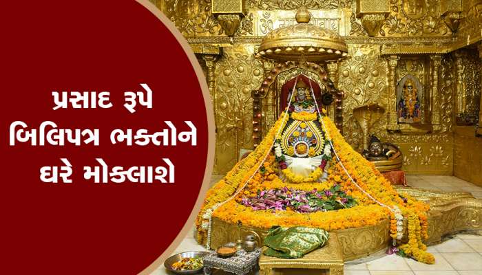 હવે ઘરે બેઠા સોમનાથ દાદાને ચડાવી શકાશે બિલ્વપત્ર, ટ્રસ્ટ દ્વારા લોન્ચ કરાઈ 'બિલ્વ પૂજા સેવા'
