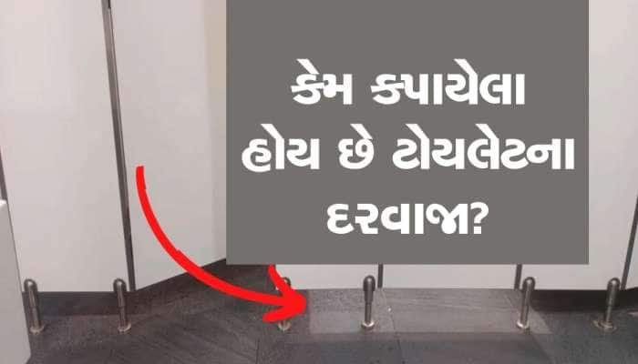 મોલ કે હોટેલમાં કેમ કપાયેલા હોય છે ટોયલેટના દરવાજા? જાણવા જેવું છે કારણ