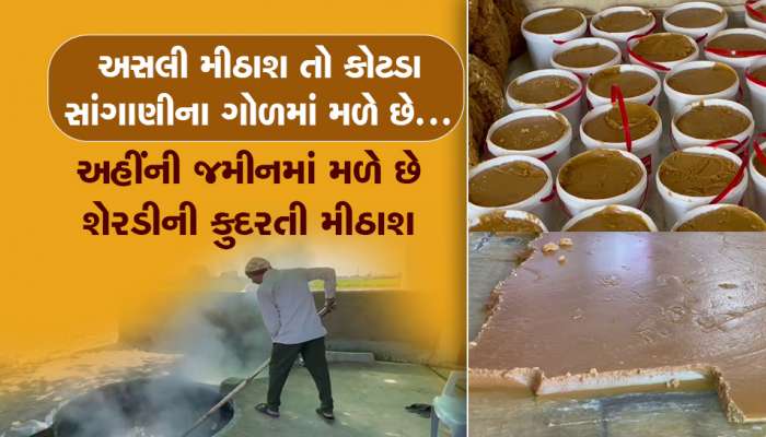 ગુજરાતના આ પ્રદેશમાં બનતો મસાલા ગોળ ખાશો તો મોહનથાળ ભૂલી જશો, દેશવિદેશમા છે ડિમાન્ડ