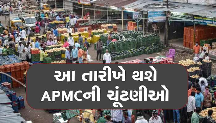 APMC Election: ભરશિયાળે રાજ્યમાં રાજકીય ગરમાવો! ગુજરાતની 23 APMC ની ચૂંટણીઓની તારીખો જાહેર