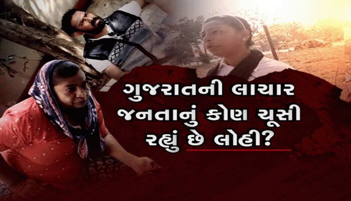કોણ છે એજન્ટોના ગોડમધર? કોની મરજી વિના સરકારી બાબુઓ પણ ફોર્મ પર નથી મારતા સિક્કો