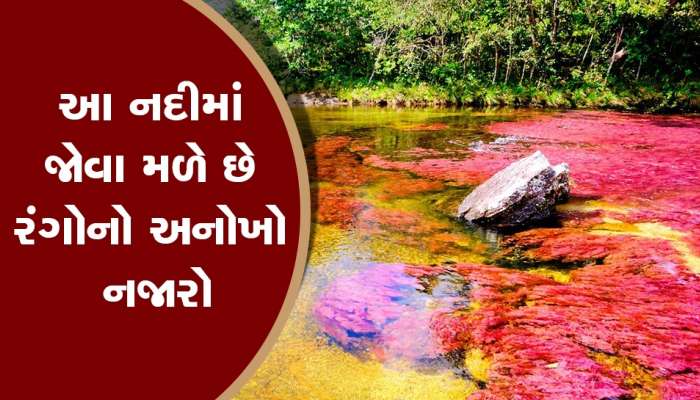 ક્યાં આવેલી છે 5 રંગના પાણીથી વહેતી  નદી, કેમ દૂર દૂરથી જોવા માટે ઉમટે છે લોકો?