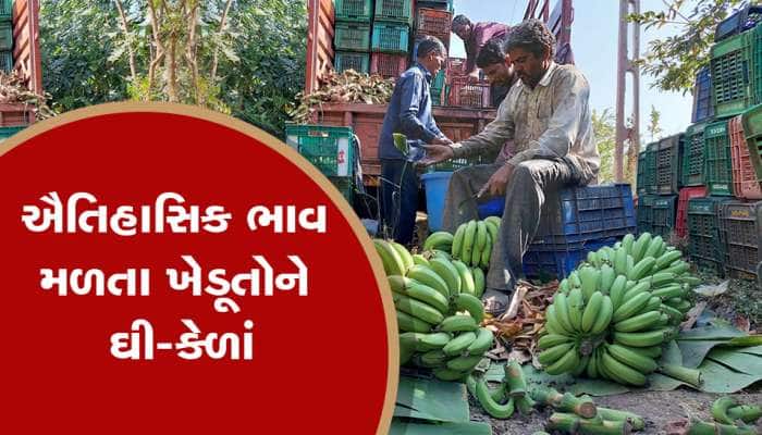 ગુજરાતના આ ખેડૂત માટે કેળ બન્યું કલ્પવૃક્ષ! કેળાની ખેતી સાથે કરી લાખોની કમાણી!