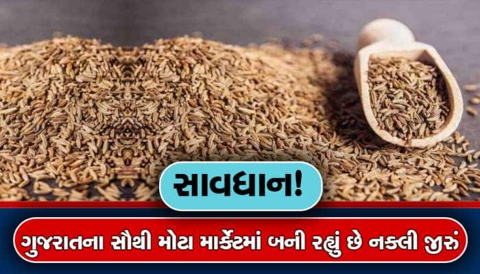 ઉત્તર ગુજરાતના પાટીદારના ગોડાઉનમાં બનતુ હતું નકલી જીરું! વેચાતા પહેલા કૌભાંડ ખૂલ્યું