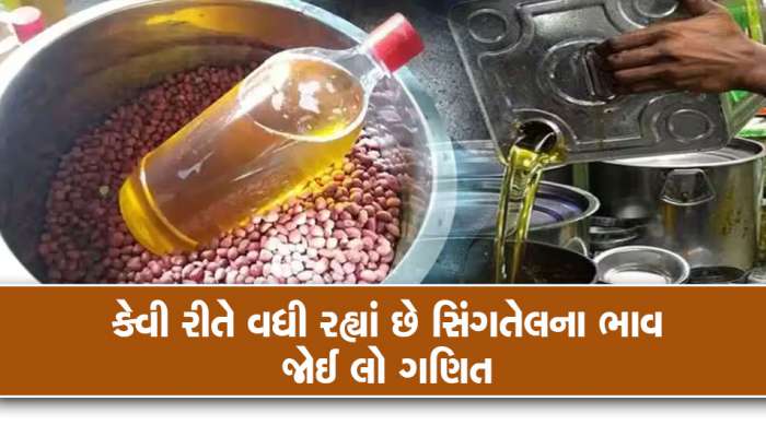 મગફળીની ધૂમ આવક થતા કેમ વધે છે સિંગતેલના ભાવ, આ રહ્યુ તે પાછળનું કારણ